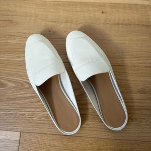 Everlane Day Loafer Mule